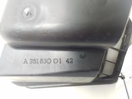 Mercedes-Benz R W251 Grill / Wlot powietrza błotnika przedniego A2518300142