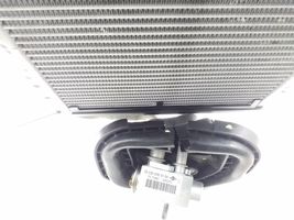 Mercedes-Benz E C207 W207 Oro kondicionieriaus radiatorius (salone) A2048300258