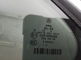 Mercedes-Benz R W251 Takasivuikkuna/-lasi A2516700750