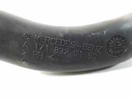 Mercedes-Benz SLK R171 Rivestimento del tergicristallo A1718320190