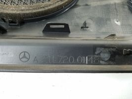 Mercedes-Benz E W211 Altro elemento di rivestimento della portiera anteriore A2117200148