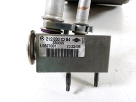 Mercedes-Benz E W212 Radiatore aria condizionata (A/C) (abitacolo) A2048300058