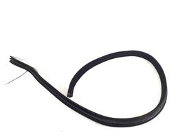 Mercedes-Benz CLS C219 Rear door rubber seal (on body) A2196970351