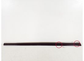 Mercedes-Benz S W220 Front door trim (molding) A2206900562