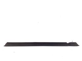 Mercedes-Benz C W204 Moulure/baguette de porte avant A2047250165