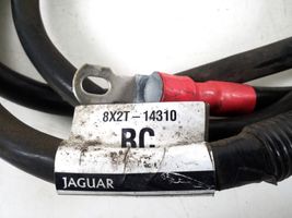 Jaguar XF X250 Cavo positivo (batteria) 8X2T14310BC