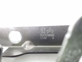 Peugeot 3008 I Cerniere del vano motore/cofano 9682599080