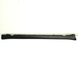 Tesla Model 3 Sill 1089829