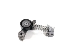 Volvo V60 Napinacz paska wielorowkowego / Alternatora 31460374