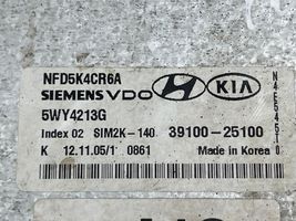 Hyundai Sonata Sterownik / Moduł ECU 5WY4213G