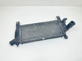 Nissan Navara D40 Chłodnica powietrza doładowującego / Intercooler 14461EB360