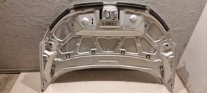 Ford Ecosport Pokrywa przednia / Maska silnika CN1516K689AB