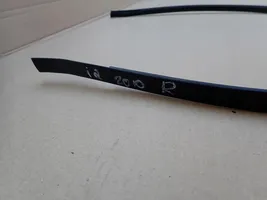 Toyota iQ Roof trim bar molding cover 