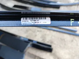 BMW X6 F16 Door glass trim 7317789