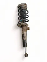 Volkswagen Jetta V Front shock absorber with coil spring 1K0400039