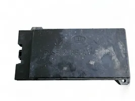 KIA Sorento Fuse module 911603E040