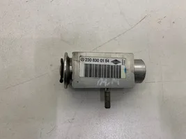 Mercedes-Benz S W221 Air conditioning (A/C) expansion valve 2308300184