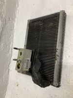 Citroen C4 I Picasso Air conditioning (A/C) radiator (interior) A311010E0A