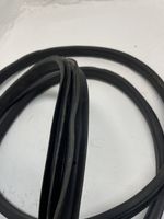 Ford S-MAX Front door rubber seal 