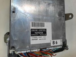 Toyota RAV 4 (XA20) Calculateur moteur ECU 8966142A10