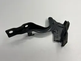 Hyundai Santa Fe Engine bonnet/hood hinges 