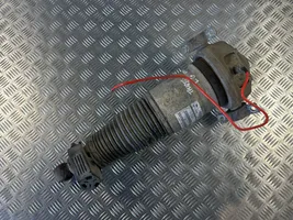 Volkswagen Touareg I Shock absorber/damper/air suspension 7L6512021AG