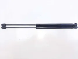 Volkswagen Eos Tailgate/trunk strut/damper 1Q0827550E