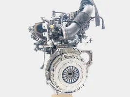 Ford Focus Moottori M2DC