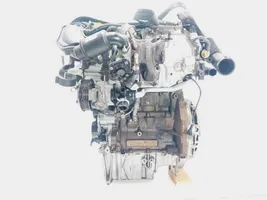 Ford Focus Moottori M2DC