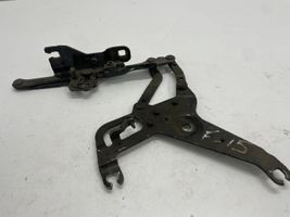 BMW X5 F15 Cerniere del vano motore/cofano 17205310