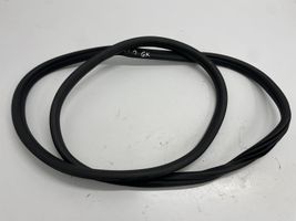 BMW 1 F40 Rear door rubber seal (on body) 