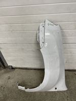 Dacia Duster Fender 260925690R