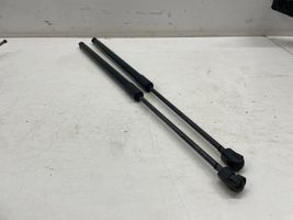 Volkswagen PASSAT B8 Front bonnet/hood damper/strut 3G9827550