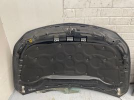 Mercedes-Benz CLA C117 X117 W117 Engine bonnet/hood 