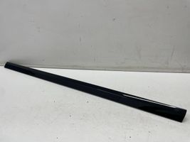 BMW X7 G07 Front door glass trim molding 7428668