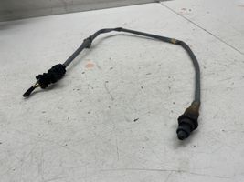 Ford Focus Sonde lambda JX619G444