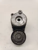 Mercedes-Benz R W251 Napinacz paska alternatora 950155