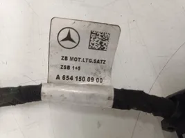 Mercedes-Benz E W213 Motorkabelbaum Leitungssatz A6541500900