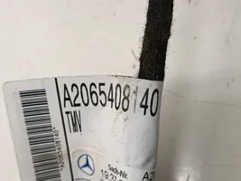 Mercedes-Benz C W206 Faisceau de câblage de porte avant A0005455633