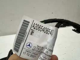 Mercedes-Benz C W206 Faisceau de câblage de porte arrière A2065406540