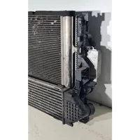 Ford S-MAX Radiator set 