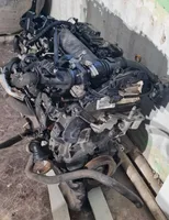 Volvo V40 Moteur 2685419