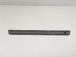 Mercedes-Benz GLE (W166 - C292) Front sill trim cover A1666861936