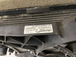 McLaren MP4 12c Kit Radiateur 11L0282CP