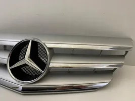 Mercedes-Benz B W245 Grotelės viršutinės A2078880260