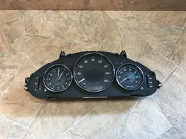 Mercedes-Benz CLS C219 Speedometer (instrument cluster) A2195404511