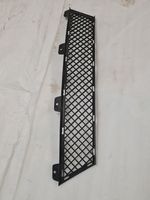 BMW Z4 E89 Front bumper lower grill 7203790