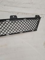 BMW Z4 E89 Front bumper lower grill 7203790