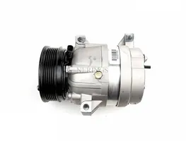 Chrysler Neon I Compressore aria condizionata (A/C) (pompa) TSP0155023