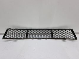 BMW 5 F10 F11 Grille inférieure de pare-chocs avant 51117285950